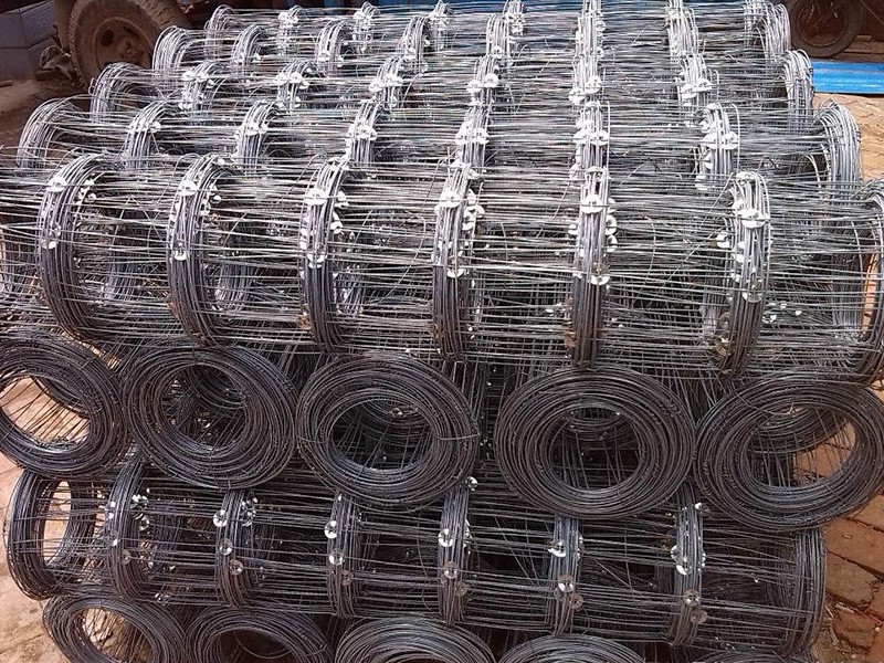 草原網(wǎng) 草原網(wǎng)